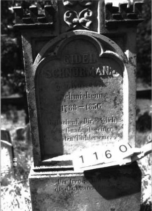 Grabstein 1160 (Index: 100098649) Maße HxBxT: 167x63x26 cm: Grabstein 1160 (Detailaufnahme 1)