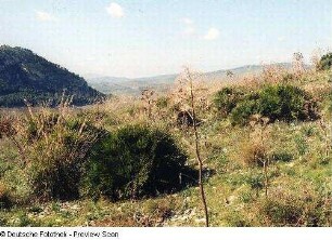 Landschaft