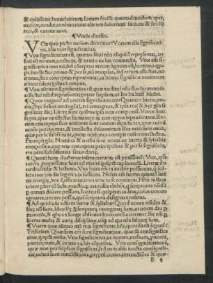 Vocis divisio.