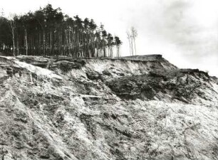Oberlausitz, Neißeniederung. Niederbusch südöstlich Hirschfelde. Beginn des 3. Erdrutsches. Blick von Südsüdost. 22.4.1941