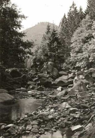 Harz. Okertal. Flussbett am "Schlafenden Löwen"