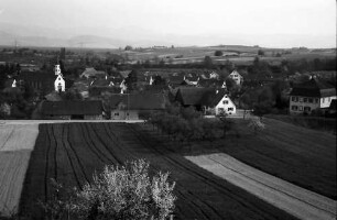 Freiburg, Waltershofen: Von der Höhe auf Waltershofen mit Blütenbaum