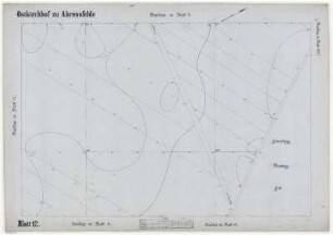 Ostkirchhof Ahrensfelde - Topografische Karte mit Straßeneinzeichnungen Blatt 12