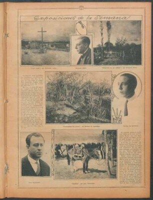 Exposiciones de la semana