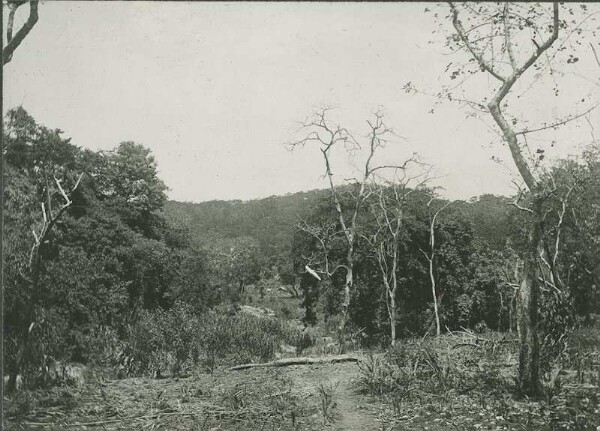 View of the Msomwesi valley