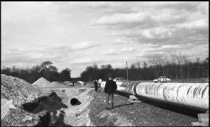 Niederlauterbach: Pipeline-Verlegung im Bienwald bei Niederlauterbach nach Karlsruhe