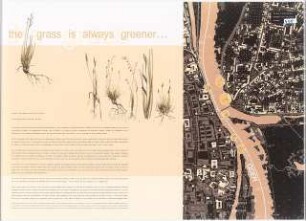 »Slubfurt«: Künstlerische Gestaltung am Fluss zwischen Frankfurt/Oder und Slubice Schinkelwettbewerb 2006: Erläuterungen, Lageplan 1:4000