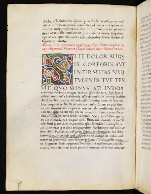 Lib. VII