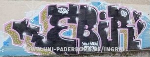 EBiR