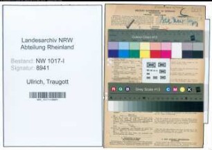 Entnazifizierung Traugott Ullrich , geb. 29.08.1896 (Krankenpfleger)