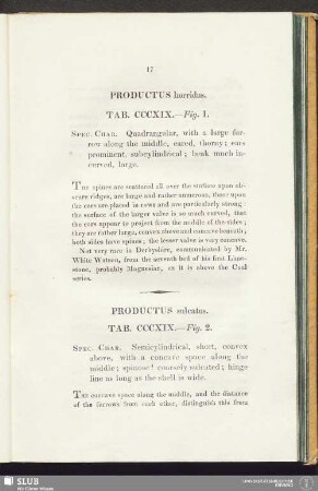 Productus horridus. Tab. CCCXIX. - Fig. 1