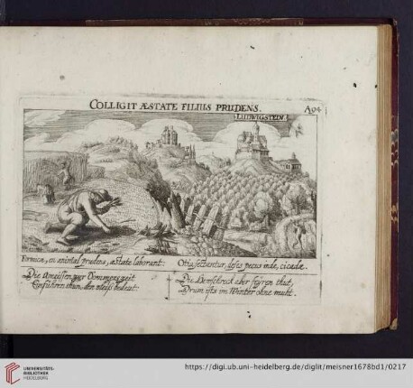 A94. Ludwigstein, "Colligit aestate fillius prudens"