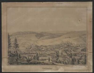 Ansicht von Gottleuba, Lithogr., 1850 : Gottleuba / nach d. Nat. gez. v. Moritz Fischer. - Löbau : Göhde , [ca. 1850]. - 1 Kunstblatt : mehrfarb. Lithogr. ; 47 x 34 cm