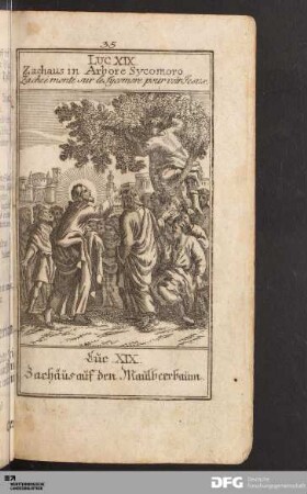 Von Zachäus auf den Maulbeerbaum.