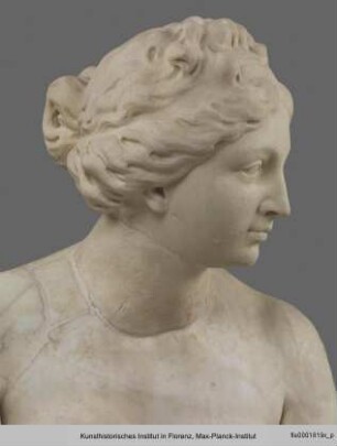 Aphrodite (römische Kopie eines hellenistischen Originals) : Kopf und Ergänzungen der Statue
