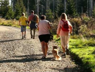 Brockenwanderer im Nationalpark Hochharz