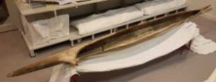 Auslegerboot