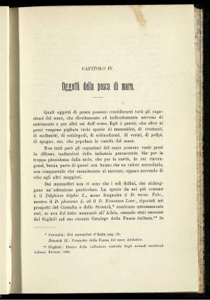 Capitolo VI. Oggetti della pesca di mare.