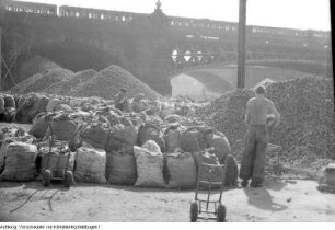 Dresden, Neustädter Hafen. Kommunaler Großhandelsbetrieb, Absacken von Kartoffeln für die Einkellerung, Herbst 1956