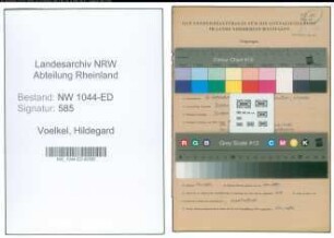 Entnazifizierung Hildegard Voelkel , geb. 26.09.1904 (Lehrerin)