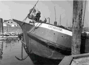 Der Bug des Schiffes Catharina an der Mole des Schulauer Hafen