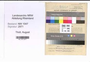 Entnazifizierung August Tholl , geb. 27.02.1901 (Angestellter)