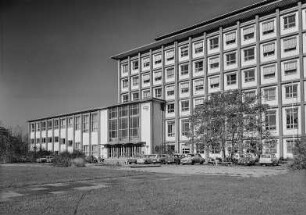 Zellescher Weg