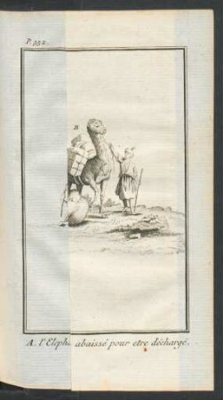 Tafel: [L' Elephant, le Chameau.]