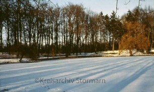 Kurpark: Salzteich im Winter
