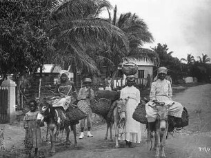 Fort de France, Martinique. Gruppe farbiger Einheimischer mit Packeseln und Lastkörben, auf einer Straße posierend