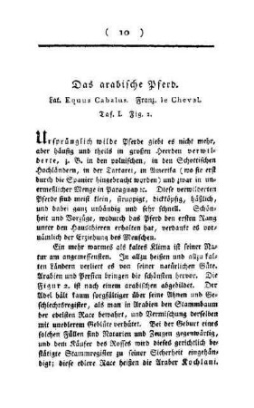 ¬Das¬ arabische Pferd : Lat. Equus Cabalus ; Franz. le Cheval ; Taf. I, Fig. 2