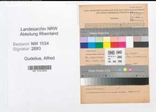 Entnazifizierung Alfred Gudelius , geb. 21.08.1906 (Oberst)
