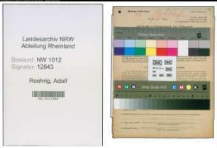 Entnazifizierung Adolf Roehrig , geb. 08.02.1908 (Kaufmann)