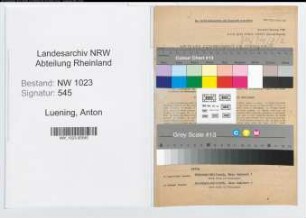Entnazifizierung Anton Luening , geb. 09.12.1895 (Ingenieur)