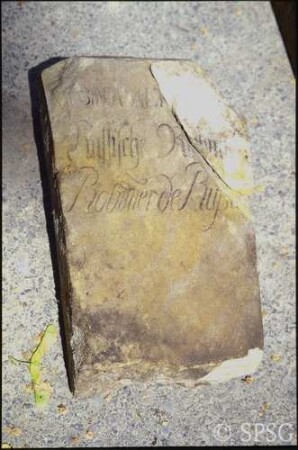 Potsdam, Park Sanssouci, Baumschule Sanssouci, gefundene Steinplatten mit Namen von Baumarten, Inschrift: Robinia altagana (Russische Robinie).