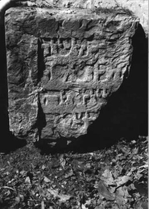 Grabstein 220 (Index: 100110553) Material: Sandstein Zustand: Fragment, sehr stark verwittert Maße HxBxT: 46x36x9 cm Beschreibung: Schriftfeld eingetieft (Fragment): Grabstein 220