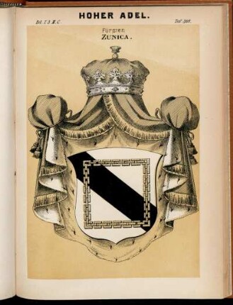 Taf. 398. Fürsten Zunica.