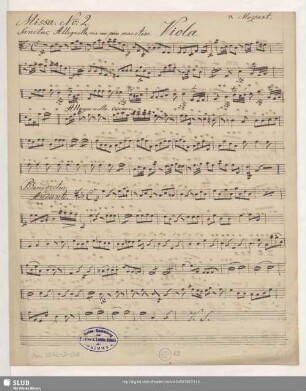 Viola