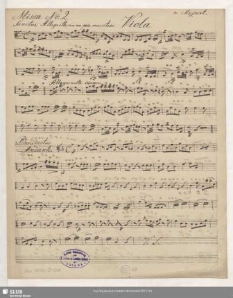 Viola