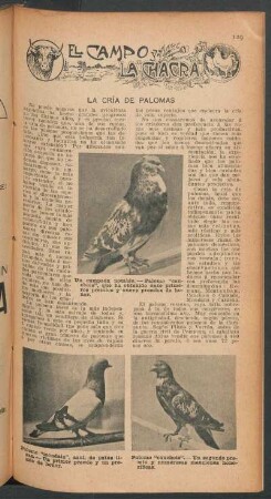 La cría de palomas : El campo y la chacra