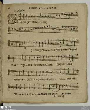 V. Jesu du mein Hirt