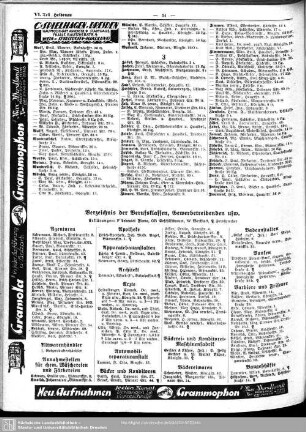 Berufsklassen und Gewerbebetriebe : Verzeichnis der Berufsklassen, Gewerbetreibenden usw.