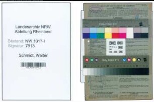 Entnazifizierung Walter Schmidt , geb. 27.04.1895 (Kaufmann)