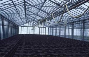 Fotografie: Gartenbautechnik-Gewächshaus, Bewässerung