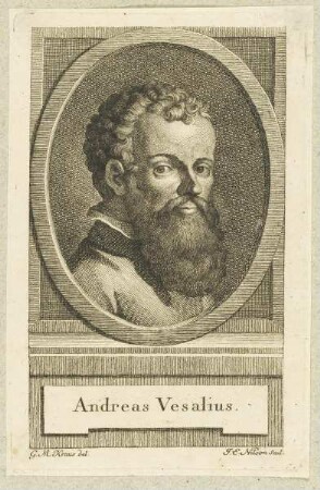 Bildnis des Andreas Vesalius