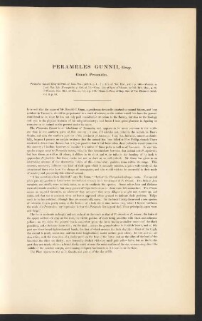 Perameles Gunnii, Gray. Gunn's Perameles