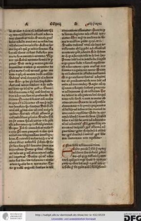 Non falsum testimonium dices.
