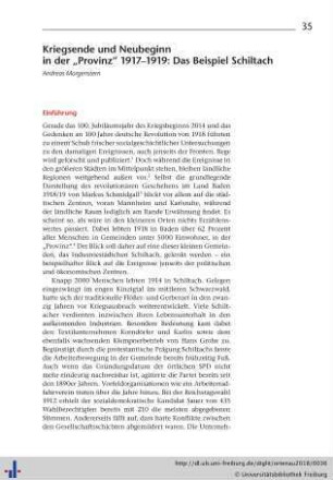 Kriegsende und Neubeginn in der „Provinz" 1917-1919: Das Beispiel Schiltach.