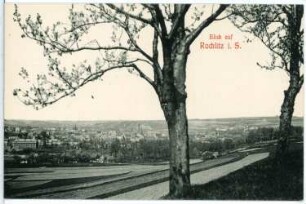 Rochlitz. Blick auf Rochlitz