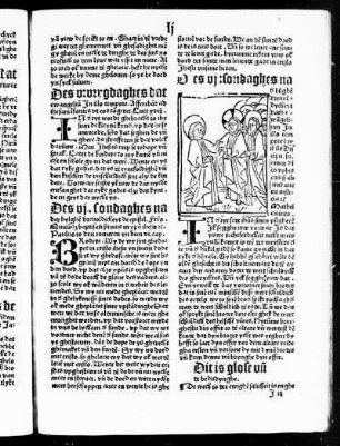 Des vi sondaghes na der hylghe[n] drevoldicheyt